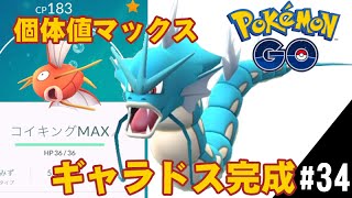 【ポケモンGO】ついに個体値MAX ギャラドス完成 GYARADOS