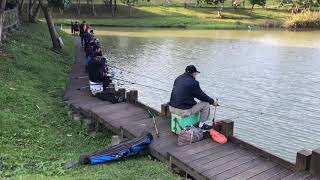 台湾のヘラブナ釣り