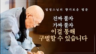 진짜 불자 가짜 불자 이걸 통해 구별할 수 있습니다 [법정스님의 향기로운 법문] #법정스님 #법정스님법문 #스님법문