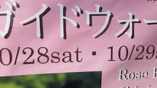 新宿御苑のバラ開花情報（ポスタ―）