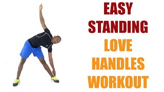 Easy Standing Love Handles Workout/ Get Rid of Love Handles/ 15 Minutes No Repeats