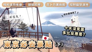 『2023東京必去景點(下)』十天沒見面，多比反應是…？哈利波特餐廳、胡椒可樂、招財貓發源地、吉卜力美術館、看富士山盪鞦韆(薩摩耶多比Dobby is free)