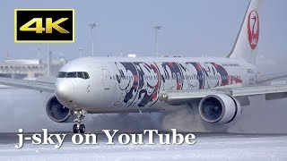 [4K] 2019 Winter Plane Spotting at New Chitose Airport / 新千歳空港 JAL 日本航空