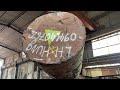 Amazing Sawmill Wood Cutting - Giant Wood Saw That Works Continuously Powerful Cut Super Large Wook