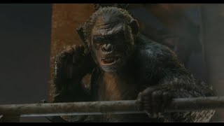 Caesar weak Koba weaker || Dawn of the Planet of the Apes (2014)