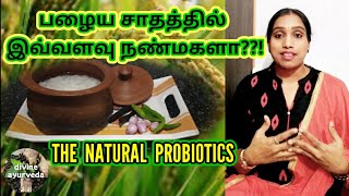 Magical benefits of FERMENTED RICE water | பழைய சாதத்தின் அற்புத மருத்துவ குணங்கள்|DIVINE AYURVEDA