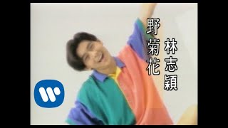 林志穎 Jimmy Lin - 野菊花 Wild Daisy (official官方完整版MV)