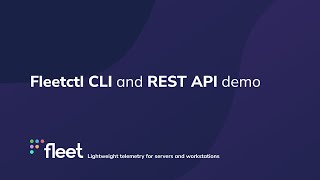Fleetctl CLI and REST API demo