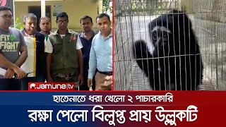 বিরল প্রজাতির উল্লুকসহ হাতেনাতে ধরা খেলো দুই পাচারকারি | Gibbons Recover