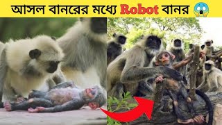 রোবট বানরটিকে আসল বানরের মাঝখানে রাখা হয়েছিল তারপর জা হল 😱 #shorts