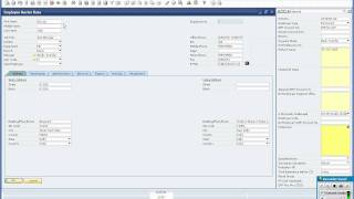 Payroll Demo - Part I.wmv