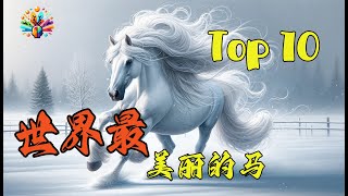 全球最令人震撼的10种美丽马匹！第一名竟然闪耀着金属光泽，美得让人难以置信！|#神奇动物世界 #马的奥秘 #最美马种 #腦洞大開 #top10