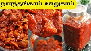 Narthangai Oorugai Recipe in Tamil | Feb 01 - @bharathicooks #cooking #pickle