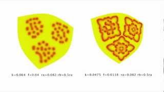 Reaction-Diffusion Simulation on Manifolds