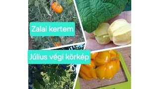 Július végi kerti körkép#nature #garden