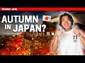 Japan in Autumn: What to Wear & Must-Know Travel Tips 2024!