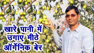 रेतीली जमीन, खारा पानी, लेकिन कमाई तिगुनी, ऑर्गेनिक खेती का कमाल || Technical Farming