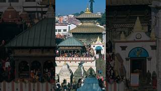 Pashupati #pashupatinath #temple #hindugod #hindu #shiva #shiv #god #shorts #short #ytshorts