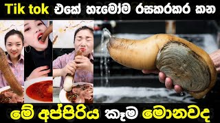 ලෝකයේ බොහෝ ප්‍රදේශවල ප්‍රණීත ආහාරයක් වන Geoducks | The world populer food Geoducks