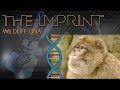 GFJC | The Imprint | Wildlife DNA