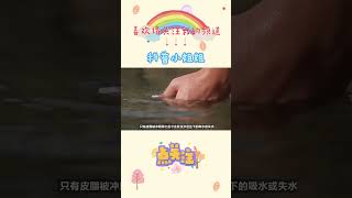 为什么手指脚趾在水里泡久了，会起皱？（上）