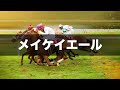 【京都牝馬ステークス2024予想】s評価は一頭！良・道悪馬場を問わない抜群のラップ適性を誇る推奨馬！