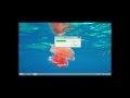 How to Install Mozilla Firefox web Browser on Windows 8 PC