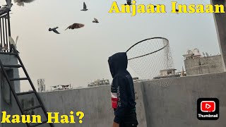 kaun hai ya anjaan insaan  #pigeon #pigeonkabutar #bird #kabootar #birdspecies