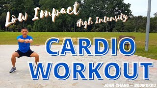 Low Impact Steady State (LISS) Cardio Workout - Knee Friendly - No Repeat - Full Body//73