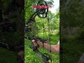 steel ball compound bow for beginners 🏹 ►531 bowandarrow compoundbow steelballcompoundbow