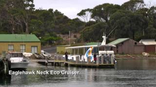 Port Arthur to Triabunna East Coast Tasmania