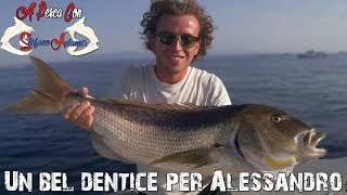 Pesca dalla barca: Dentice xxl a traina con il vivo pesca con Stefano Adami