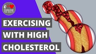 Hypercholesterolaemia and Exercise
