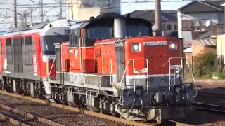 名古屋近郊　臨8075レ(DD51+DF200)