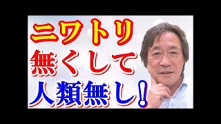 【武田鉄矢】 世界的な難問を解き、天才と呼ばれた一人の数学者が革新を起こす！