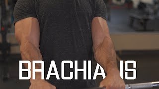 How To Grow Wider/Thicker Biceps | Brachialis Exercises