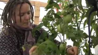 Aquaponics teaches sustainability at Vancouver Island University