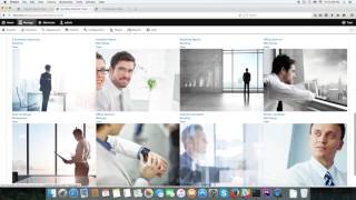 Drupal 8 Portfolio Module + Builder