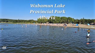 Wabamun Lake Provincial Park, AB, 🇨🇦 - August 2022