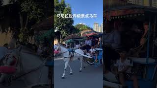 馬尼拉世界級景點 馬車橫行