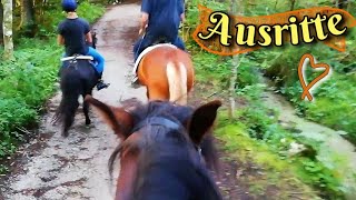 Ausritte im Wald - alle drei zusammen - ein Pferd auf Abwegen 😂 | Huzulen fetzen auf Galoppstrecke 🤠