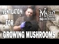 Best Ventilation for Growing Mushrooms for Profit with Mossy Creek Mushrooms!