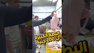 الترند بطة 3 كيلو ونصف ب 200 جنية العنوان فى اول تعليق #shopping #food #women #shorts #trend #best