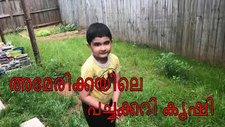 അമേരിക്കയിലെ പച്ചക്കറി കൃഷി  | Farming in America | Malayalam vlog