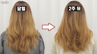 [SUB]탈색 머리에 파마를 해보자 (구구절절 딴 소리 없이 결론만 보여줌) / Let’s dye on bleached hair (must process only) K-beauty