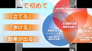 脊髄損傷者の完全マヒ、不全マヒ、脳梗塞専門空中トレーニングジム