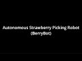 BerryBot - Autonomous Strawberry Picking Robot