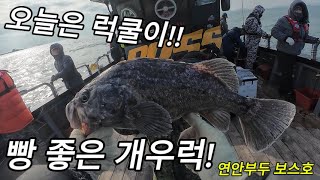 인천 연안부두 보스호 우럭, 광어 포인트 낚시 대성공!!