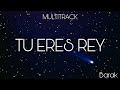 Multitrack 《TU ERES REY》Barak