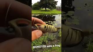 Monster Bass Destroys my Frog